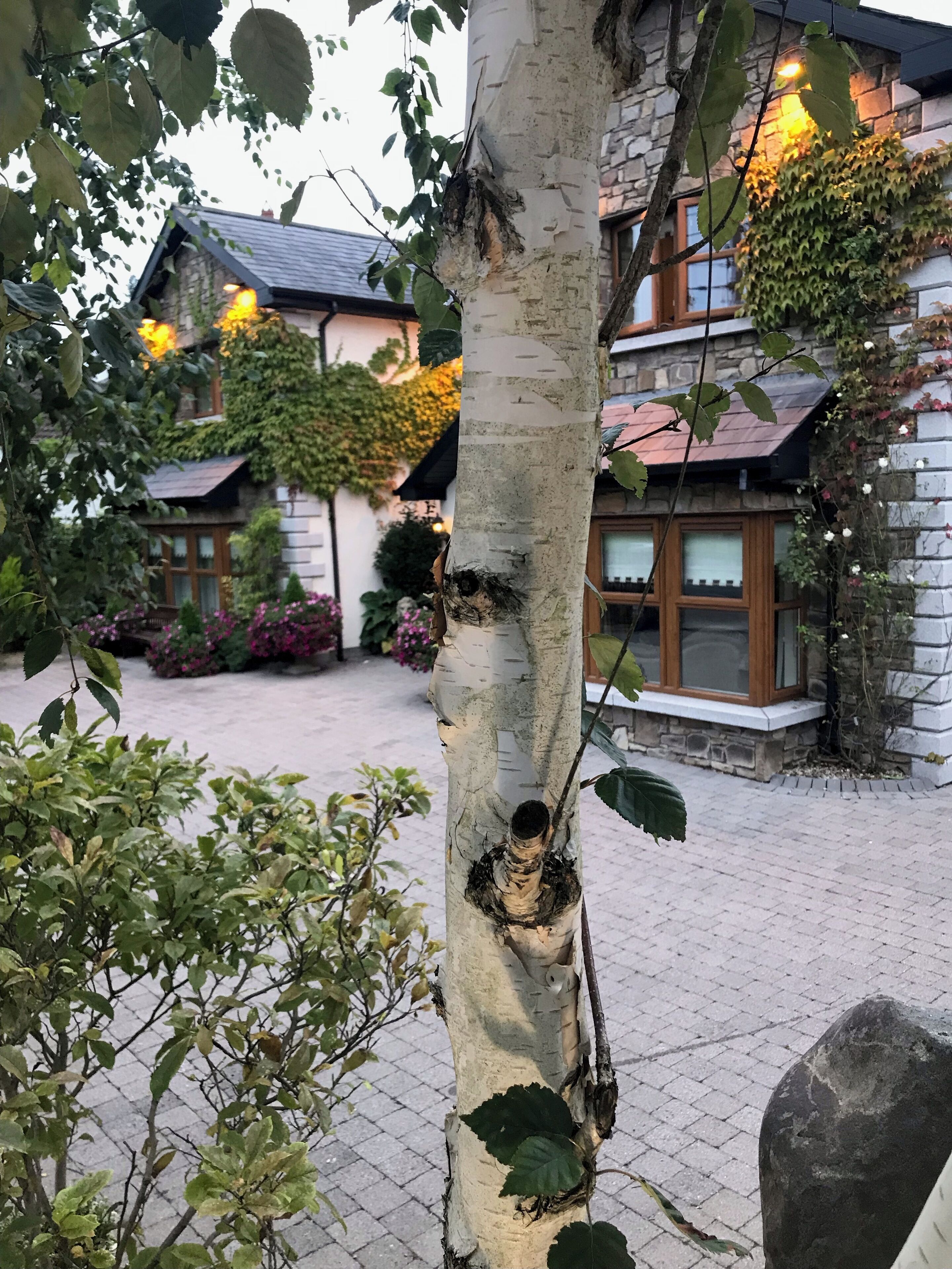 Foto - Avlon House Bed and Breakfast