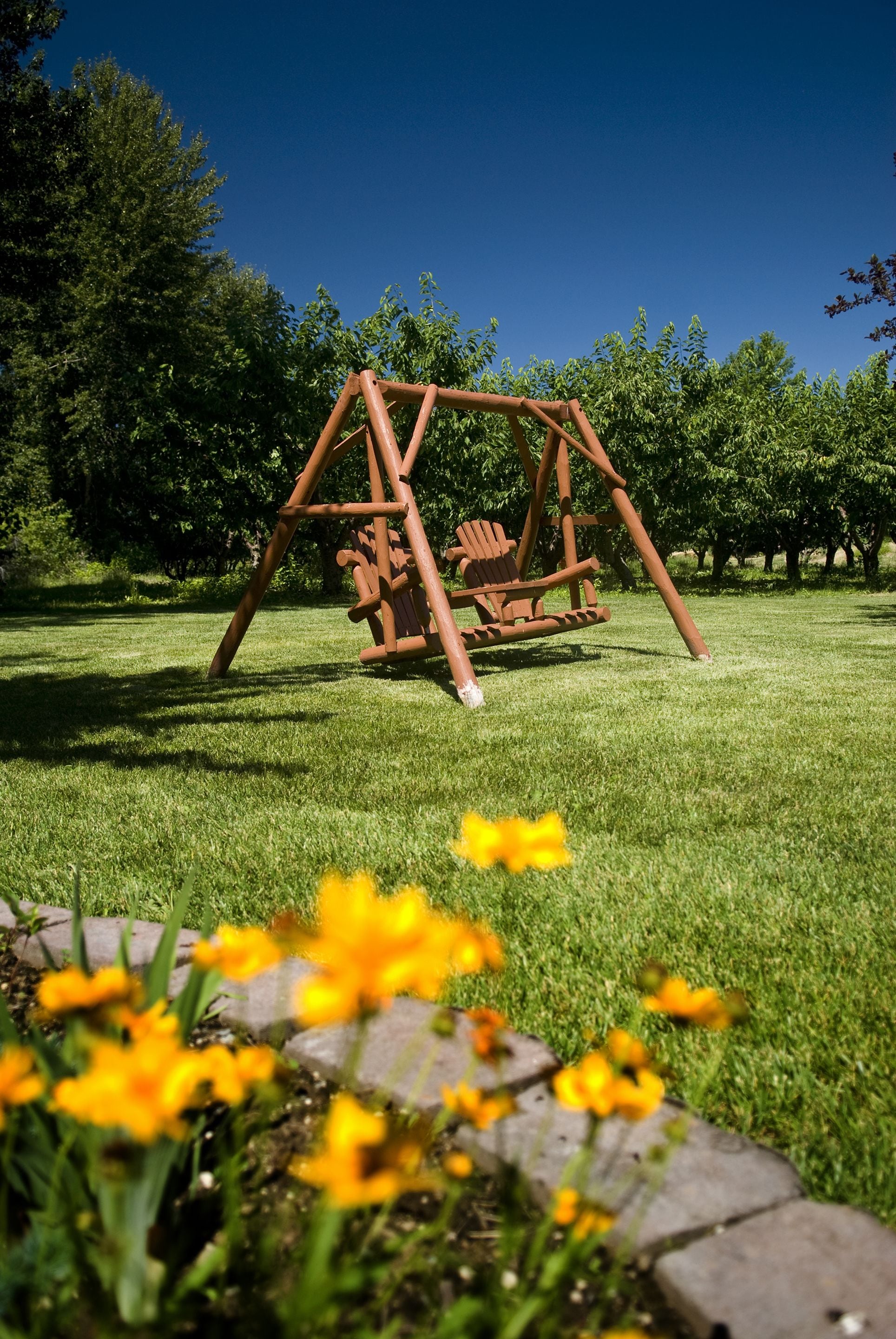 Ein hölzernes Schaukelgerüst in einem grünen Park mit Bäumen im Hintergrund.