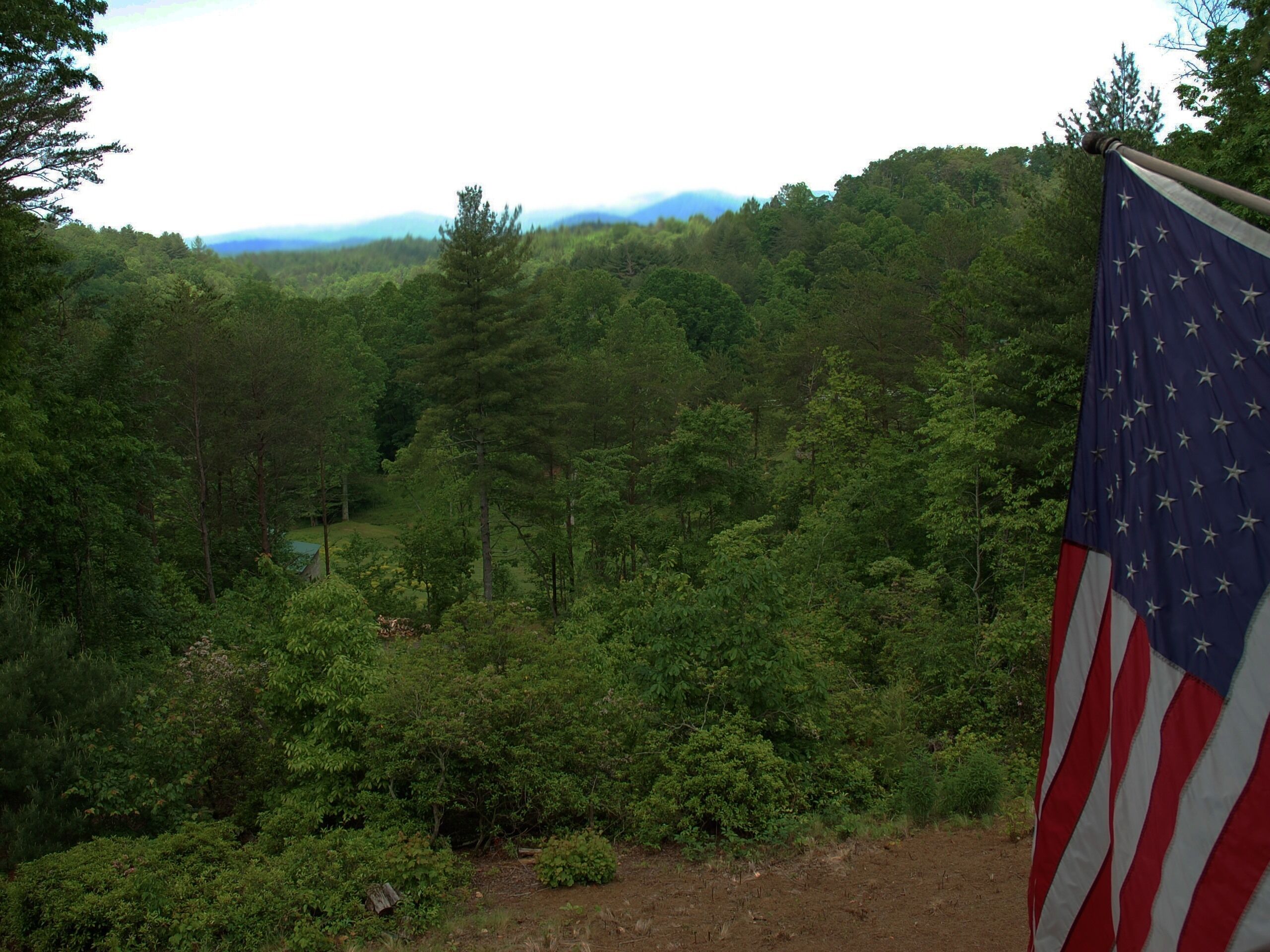 A flagpole with an American flag, surrounded by dense forest and a distant mountain range.