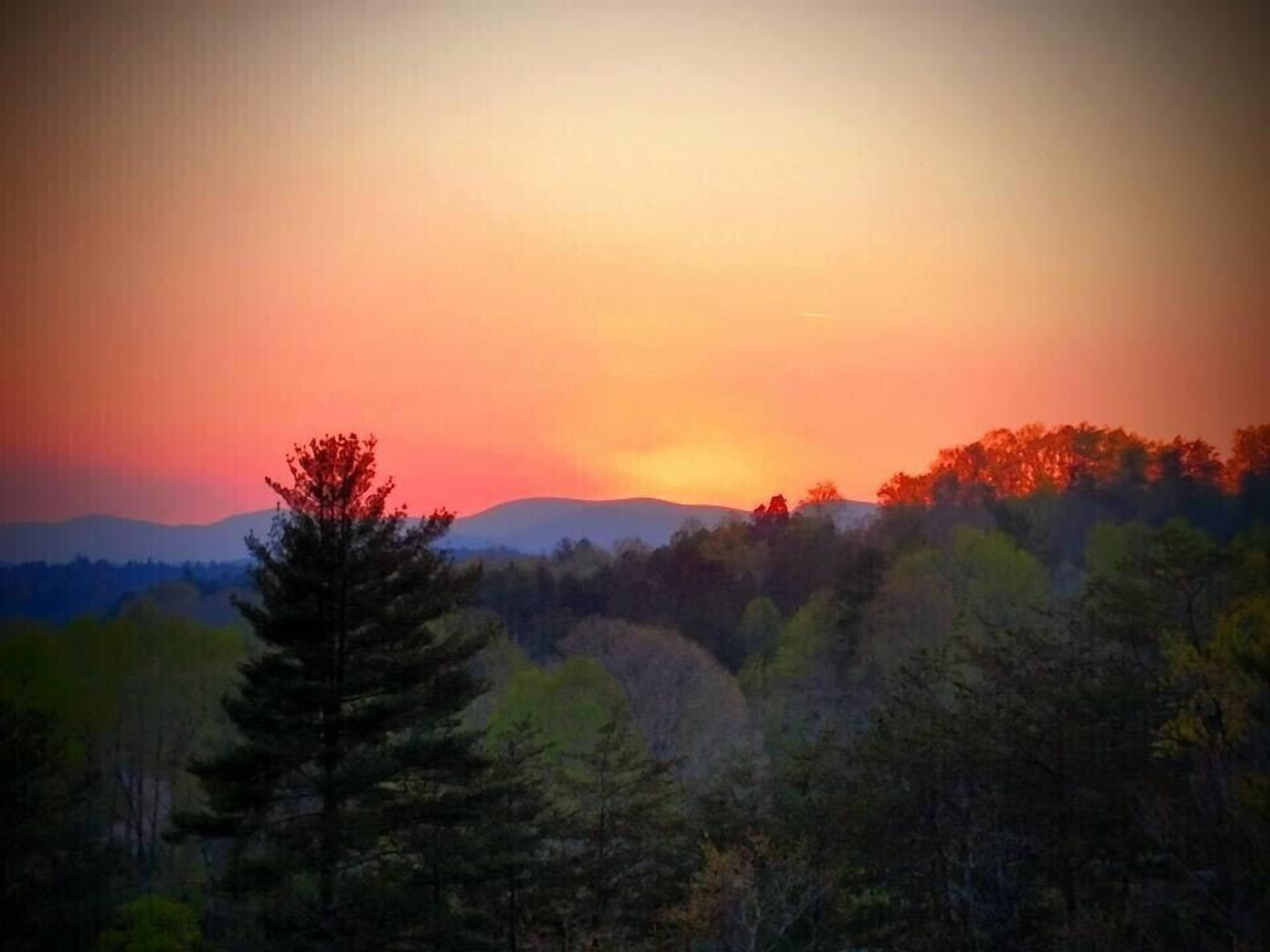 A forested landscape with a sunset.