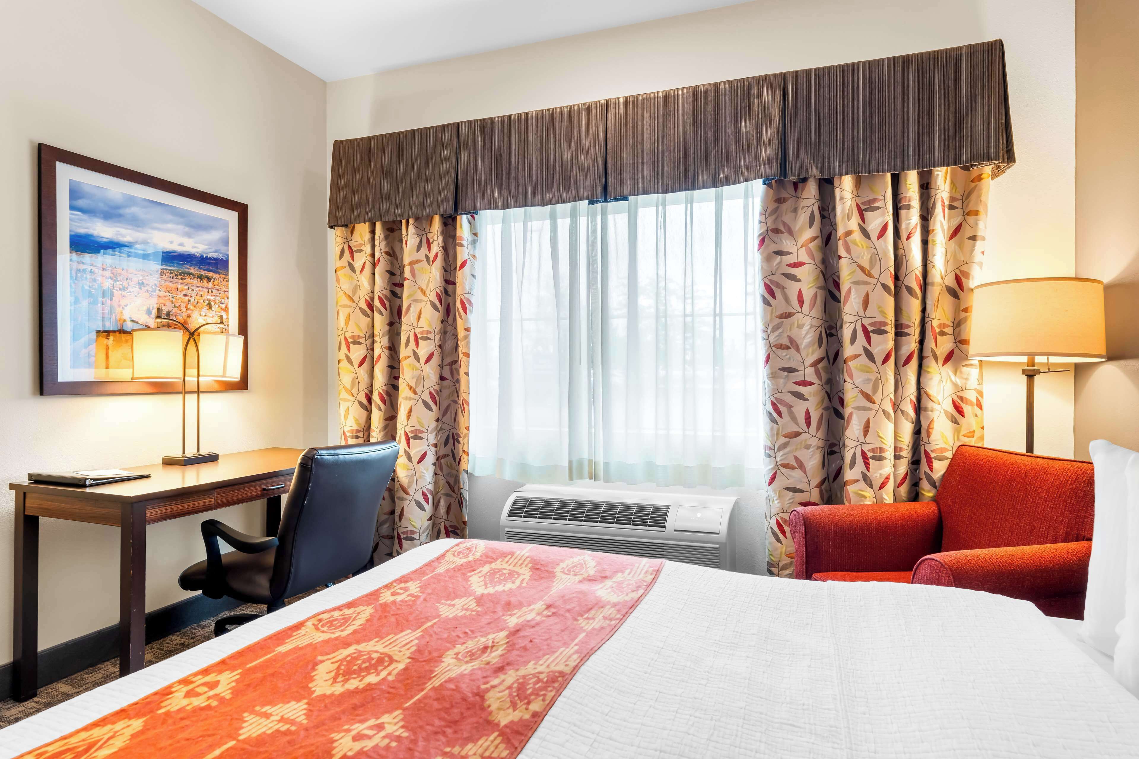 standard room, 2 queen beds, accessible, non smoking (not pet friendly) | desk, blackout curtains, iron/ironing board, free cots/infant beds