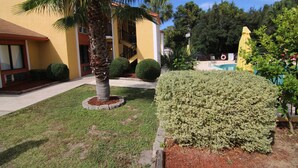 Un espacio exterior bien cuidado con piscina, palmeras y arbustos perfectamente recortados.
