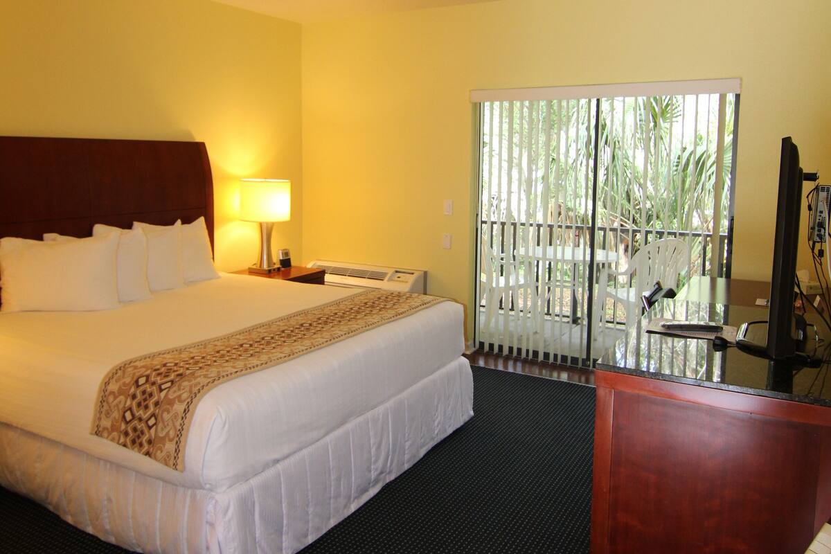 A hotel room with a bed, a desk, a chair, a TV, and a window with a view of palm trees.
