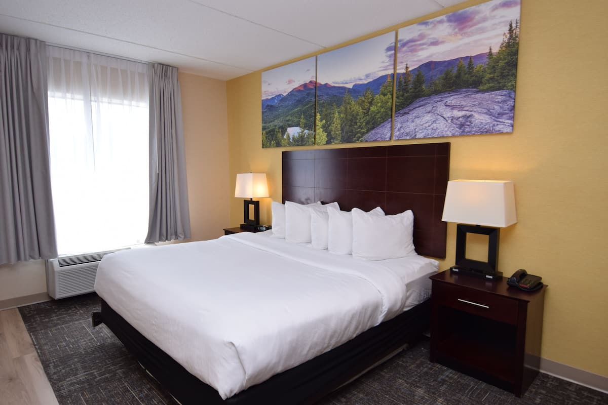 Ropa de cama de alta calidad, camas con pillow-top y escritorio