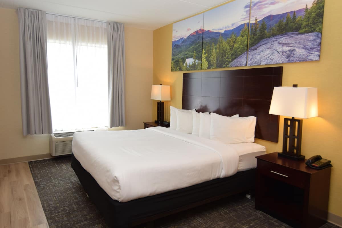 Habitación individual estándar, 1 cama King size y sofá cama | Ropa de cama de alta calidad, camas con pillow-top y escritorio