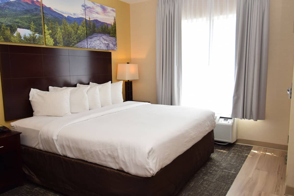 Suite, 1 cama King size y sofá cama, con acceso para personas discapacitadas, para no fumadores | Ropa de cama de alta calidad, camas con pillow-top y escritorio