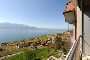 Vista desde la habitación