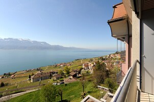 Vista desde la habitación