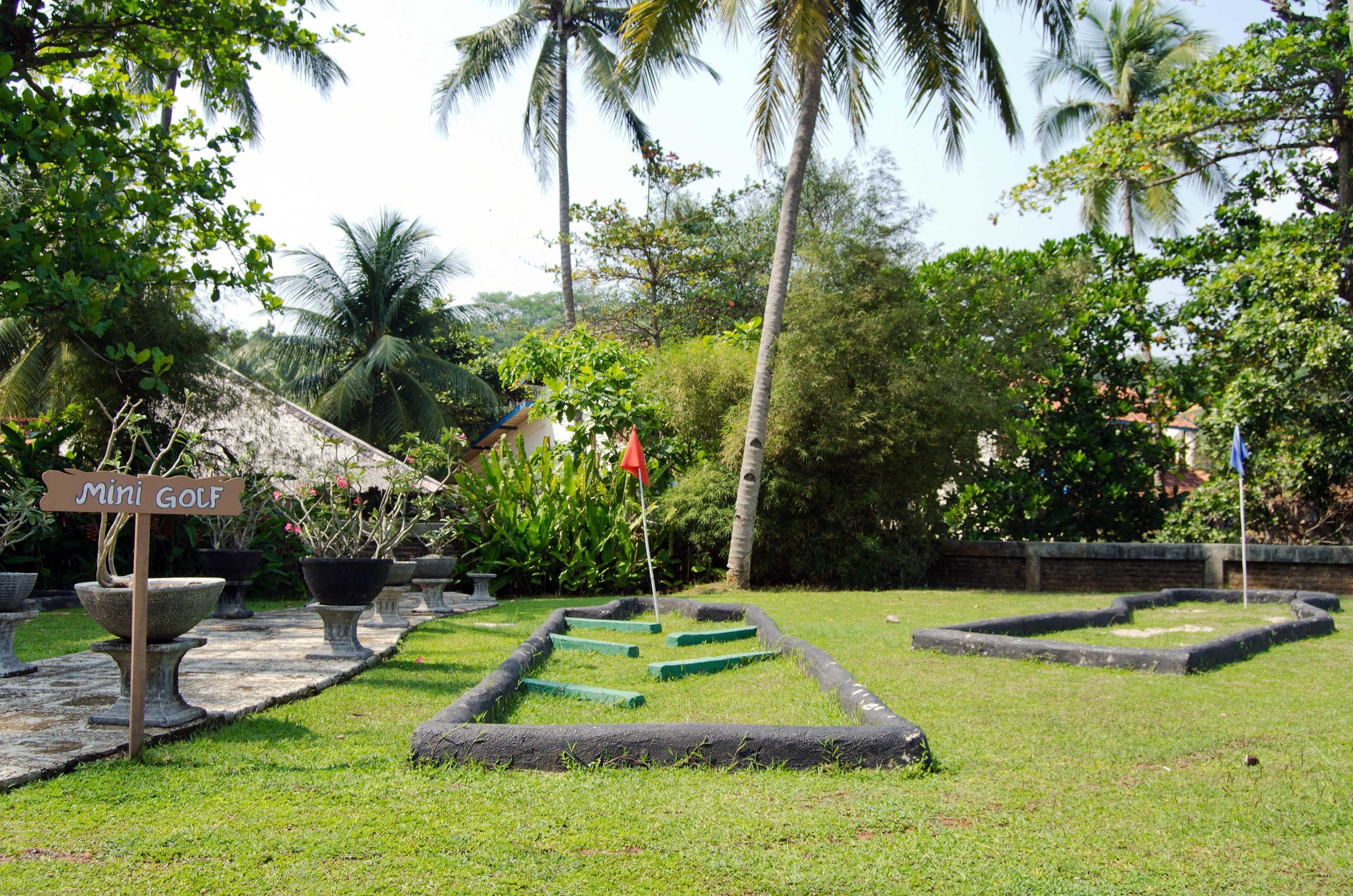 Un campo de mini golf con un letrero, senderos verdes y palmeras.