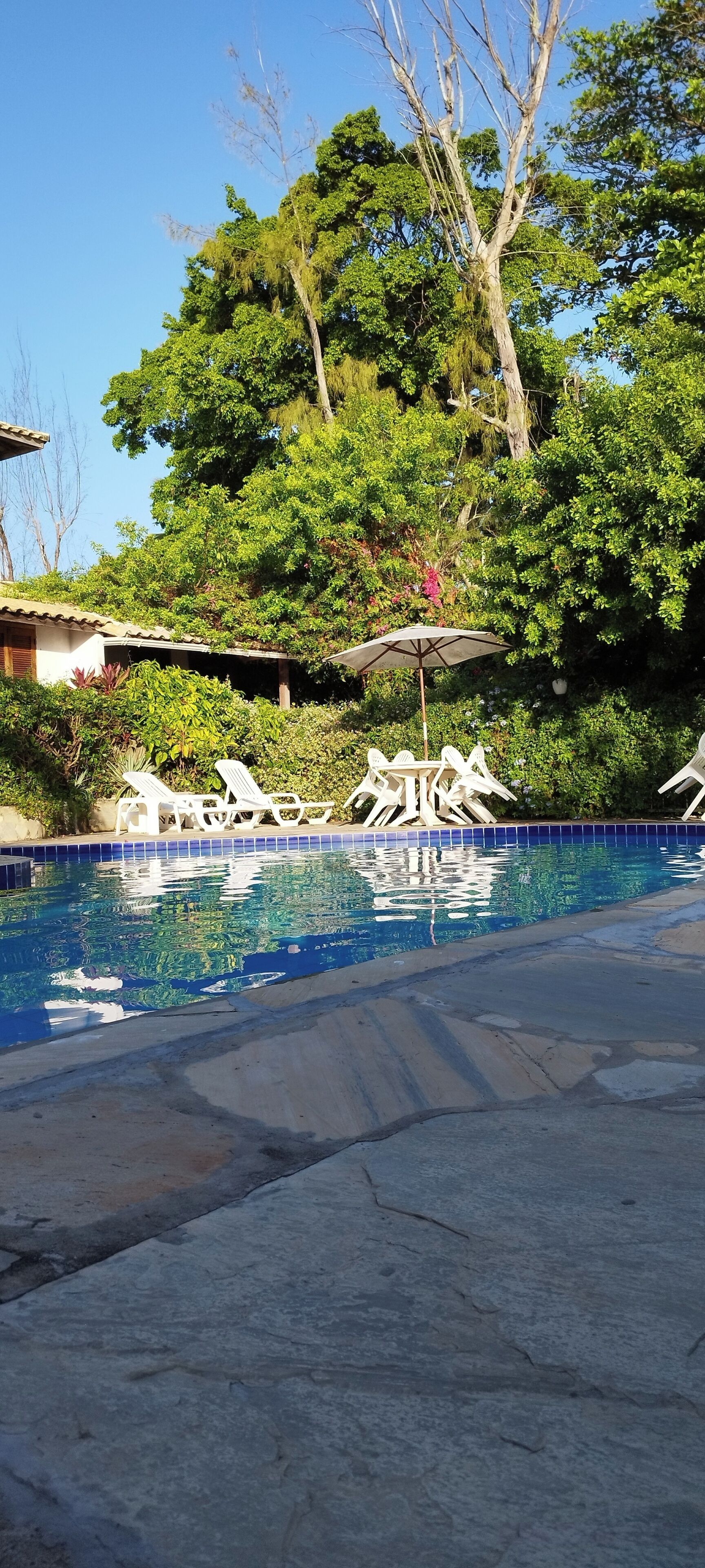 A swimming pool with lounge chairs and an umbrella, surrounded by lush greenery and trees.