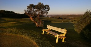 Um banco de madeira em um parque, com uma árvore e uma vista distante de um campo de golfe.