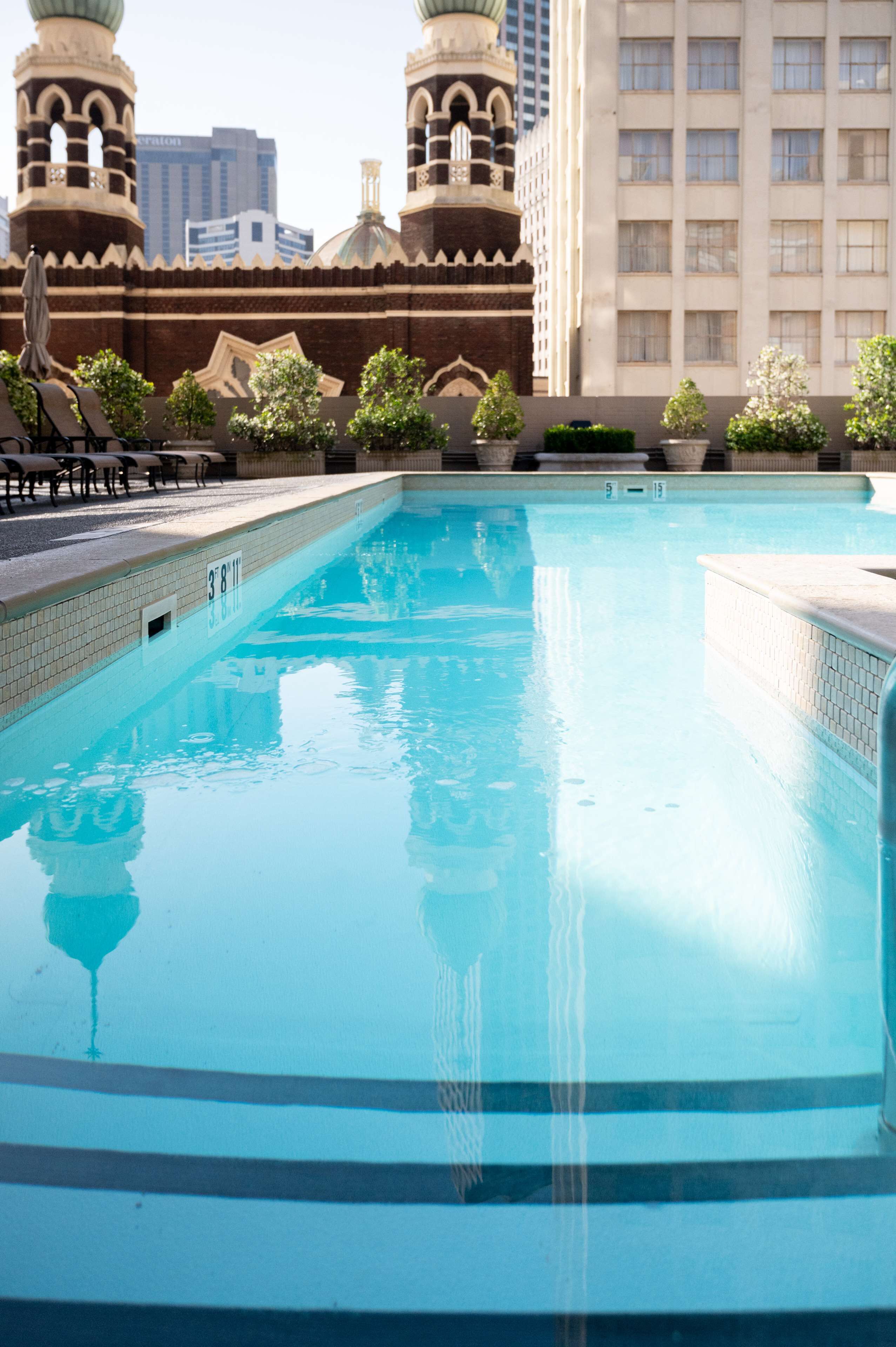 Top 13 Hotels With Rooftop Pools In New Orleans, Louisiana, Trip101
