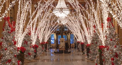 The Roosevelt New Orleans, A Waldorf Astoria Hotel