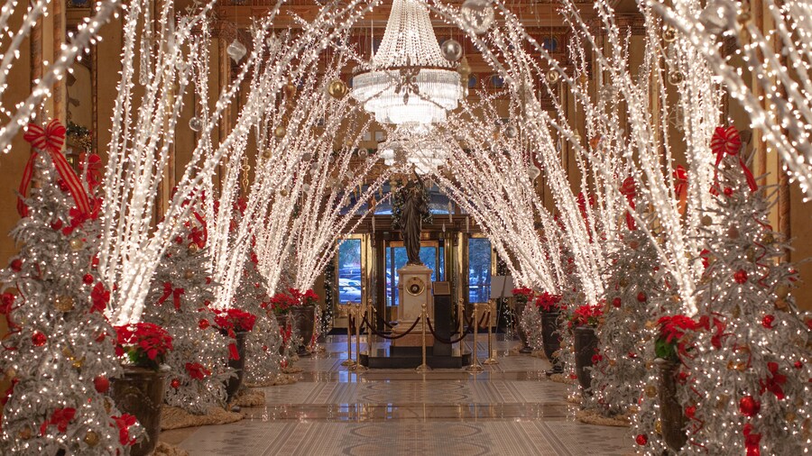 The Roosevelt New Orleans, A Waldorf Astoria Hotel