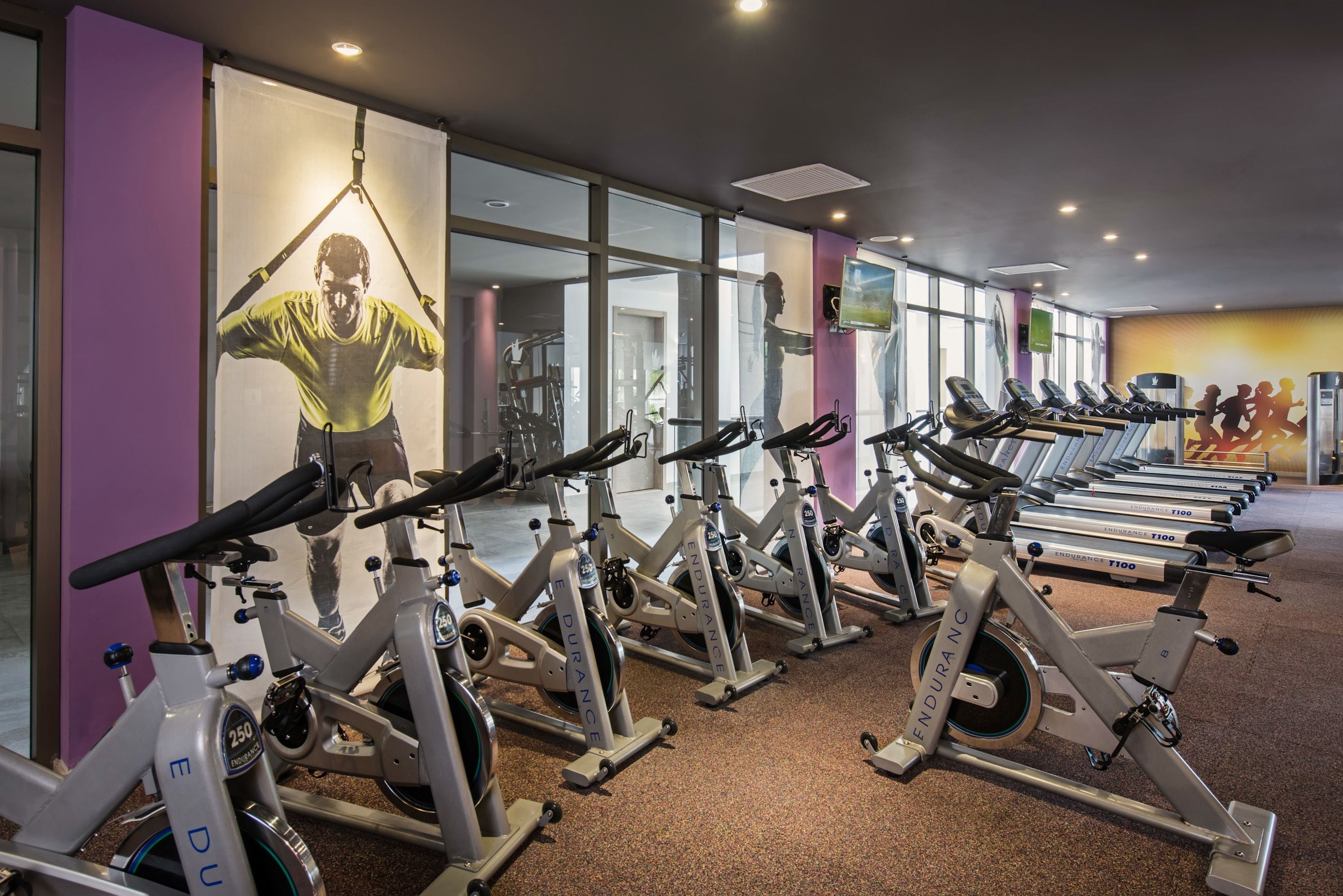 Een sportschool met diverse cardioapparaten, waaronder loopbanden en hometrainers, gerangschikt in rijen.