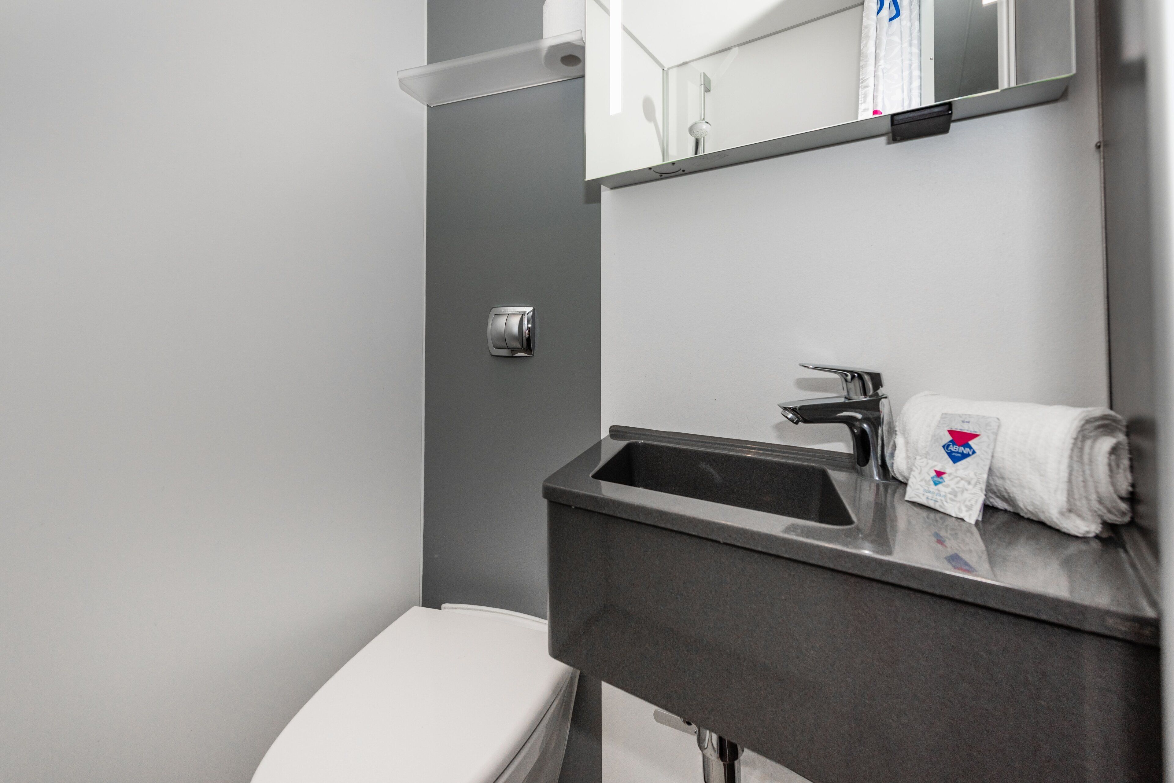 A modern bathroom with a toilet, a sink, and a mirror.
