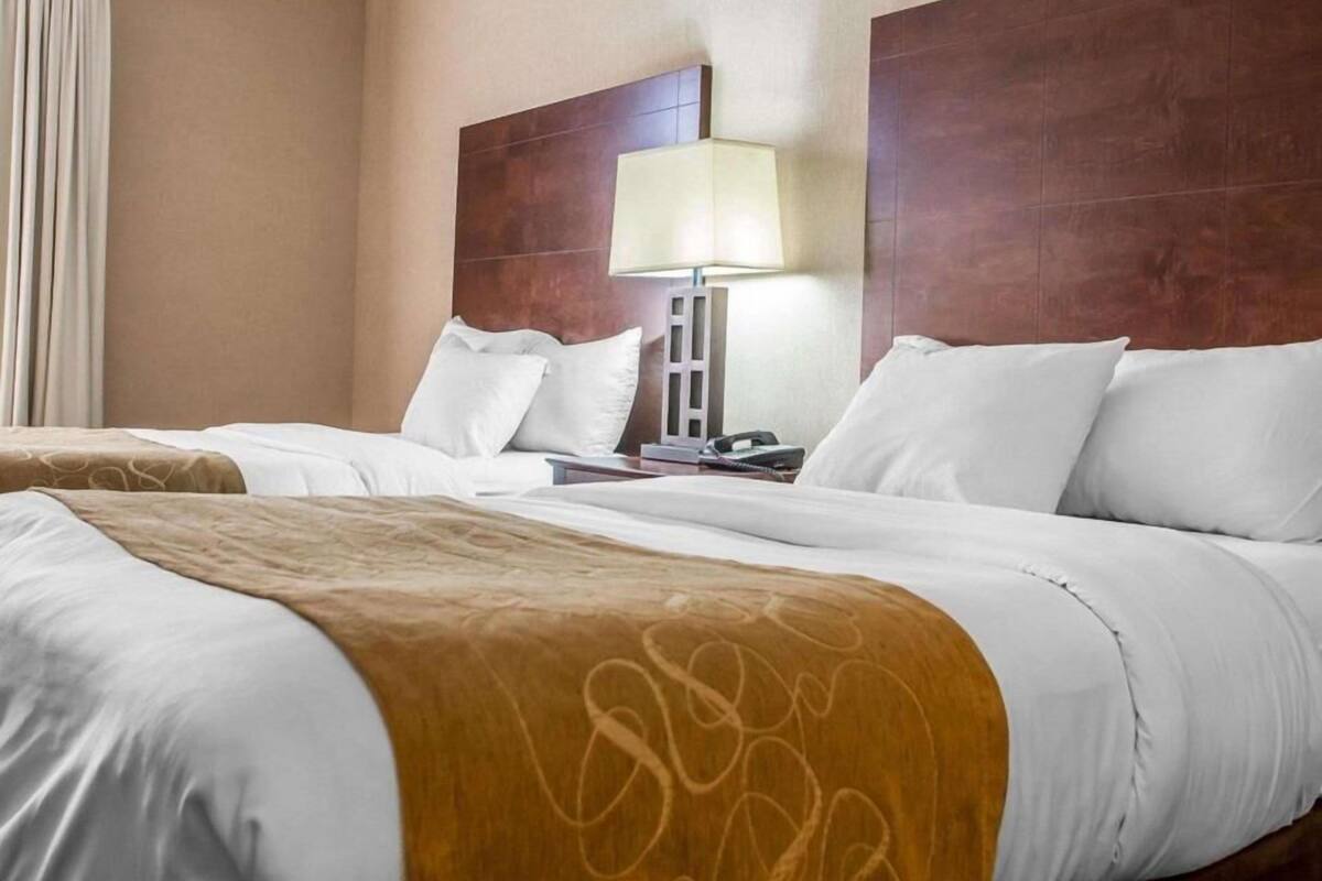 A hotel room with a large bed, a bedside table, a lamp, and a headboard.