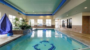 An indoor swimming pool with a dolphin mural, surrounded by windows and a tiled wall. - Comfort Suites Troy-I75 (Troy)