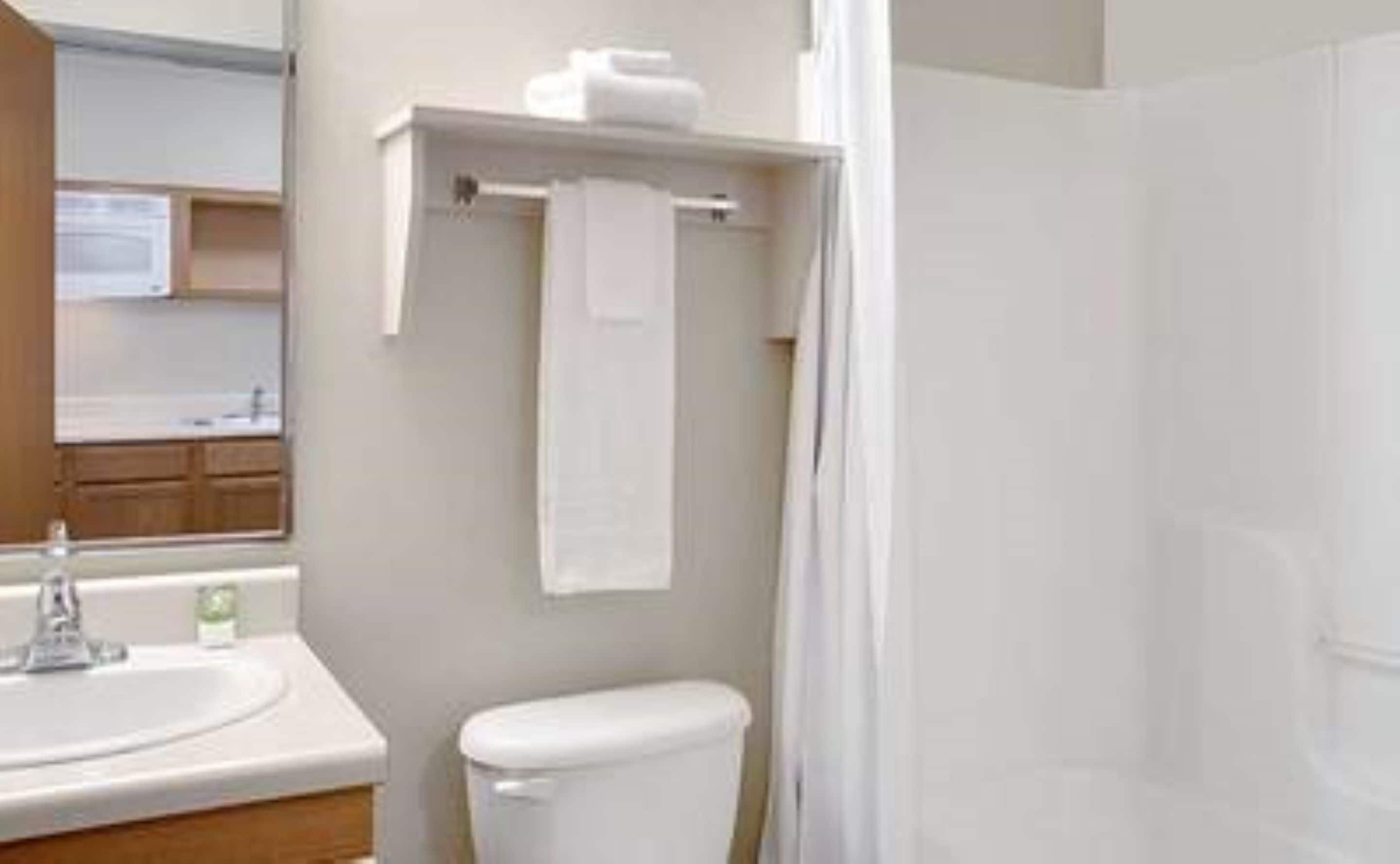 A bathroom with a sink, toilet, and a shower area.