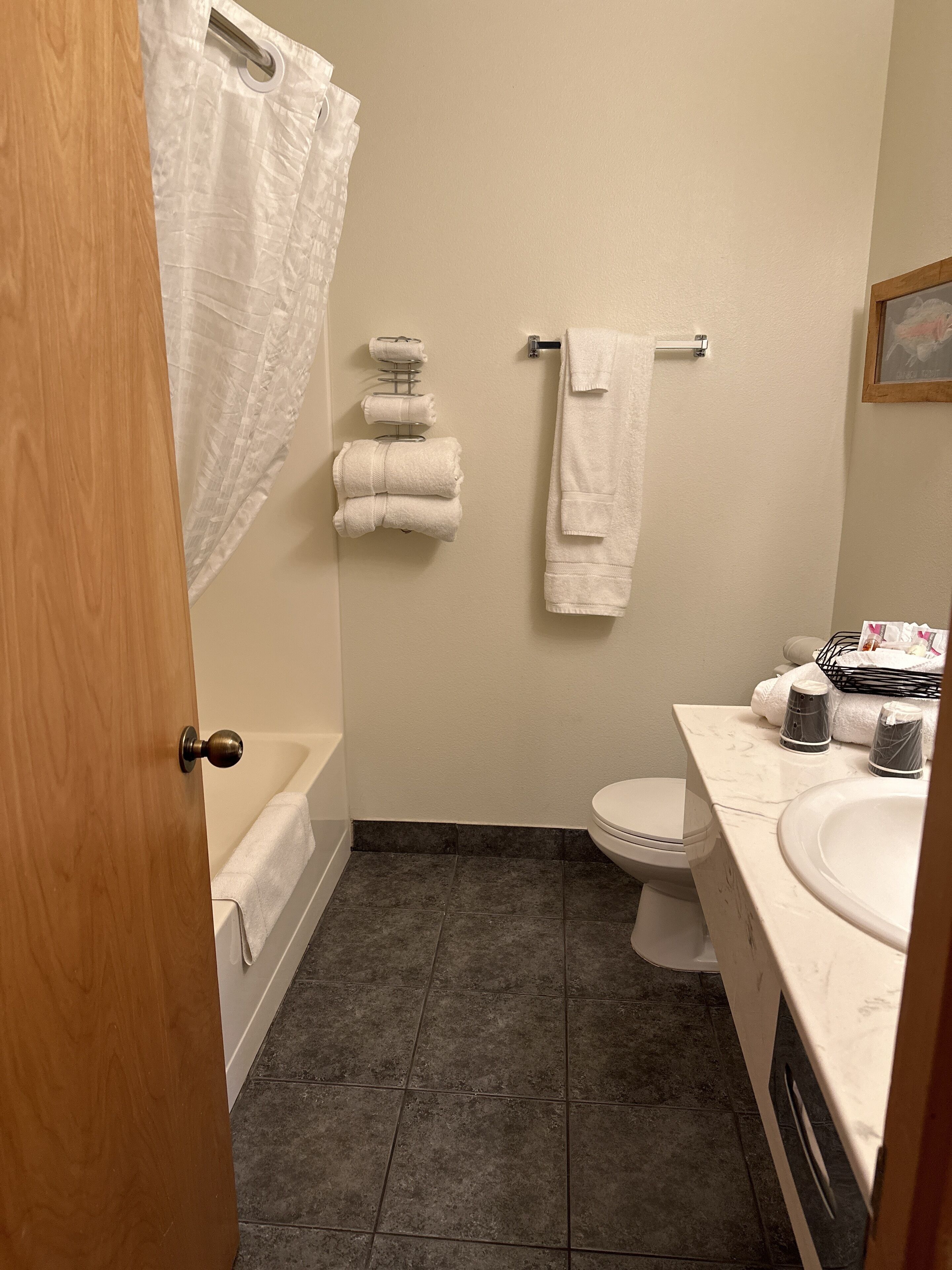 two queen beds nonsmoking view room | bathroom | combined shower/bathtub, towels