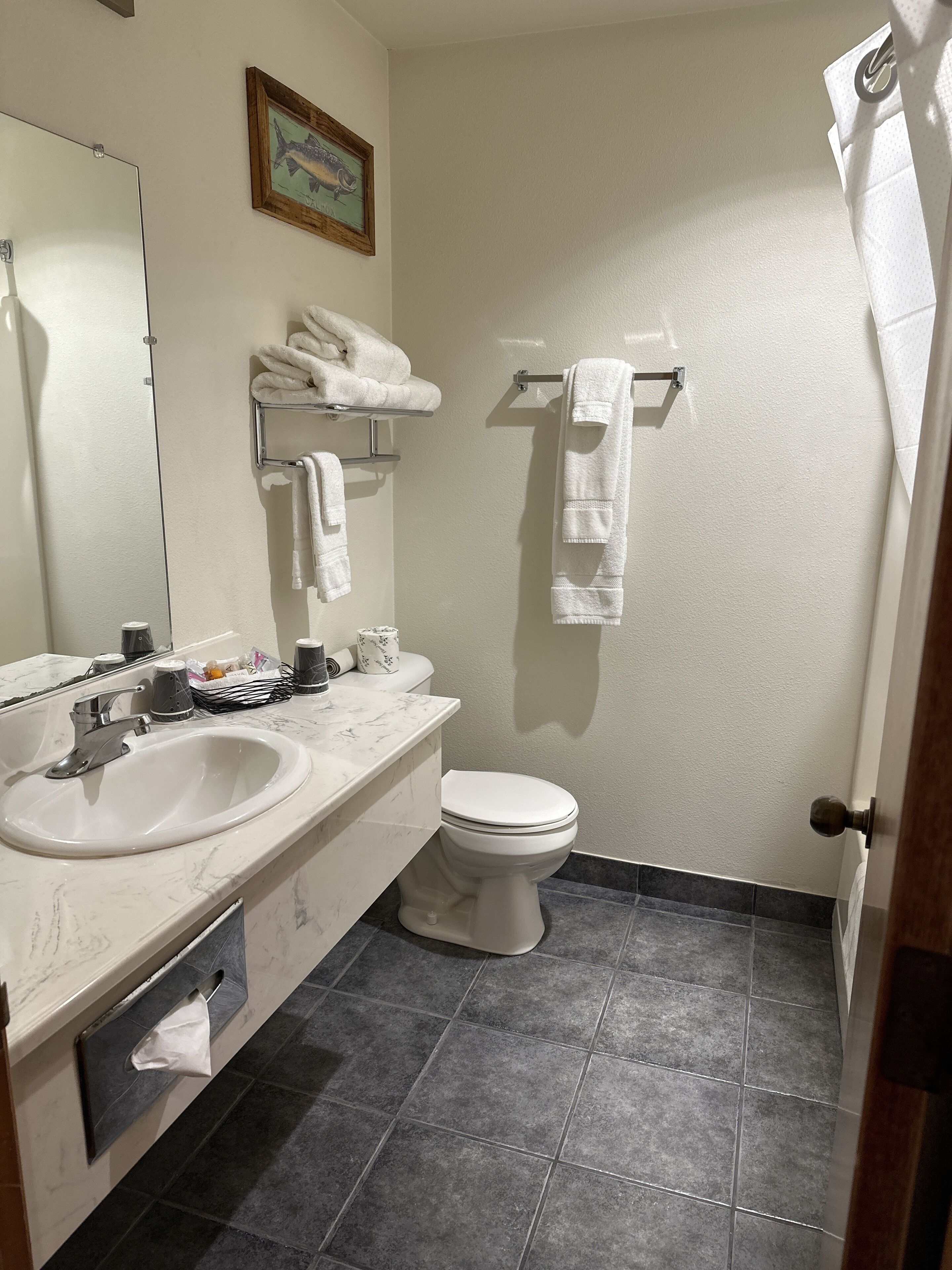 one king bed nonsmoking view room | bathroom | combined shower/bathtub, towels