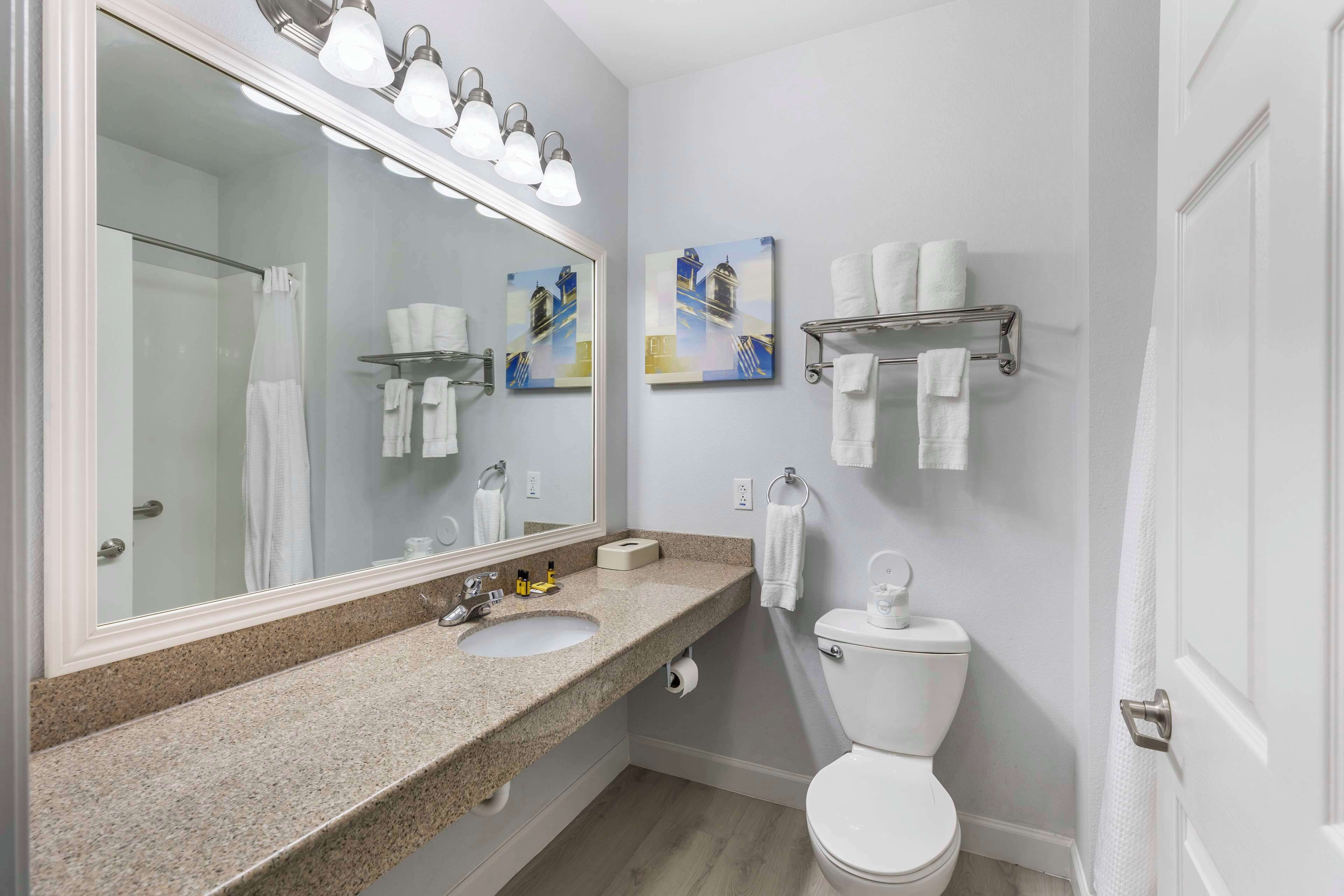 suite, 1 king bed, non smoking, refrigerator & microwave (with sofabed) | bathroom | free toiletries, hair dryer, towels, soap