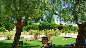 A garden with wooden chairs and tables under trees. - Quinta do Covanco (Alenquer)