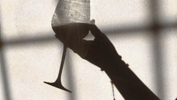 A hand holding a glass with a liquid, against a background of window panes.