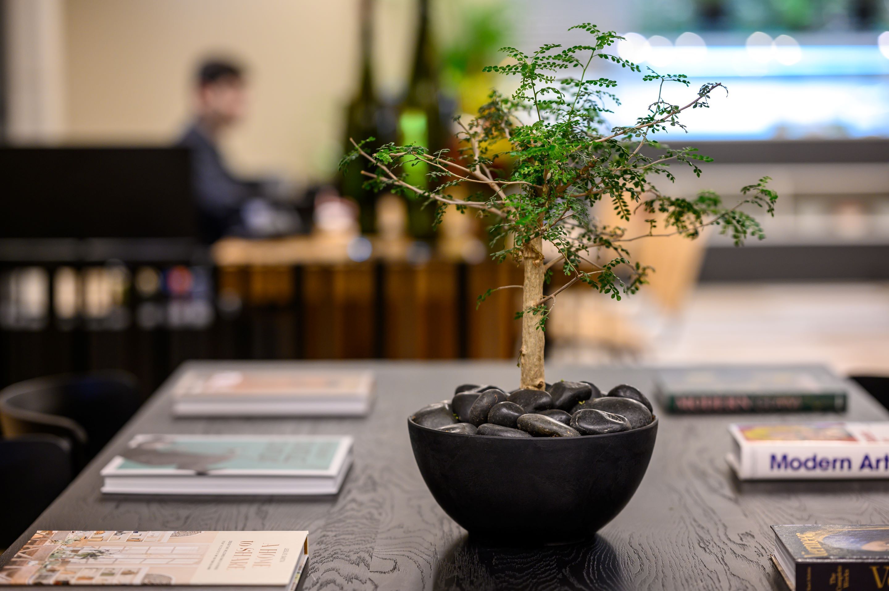 A table with a bonsai tree in a black bowl, surrounded by magazines and books.