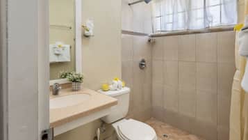 A bathroom with a toilet, sink, shower, and a mirror.