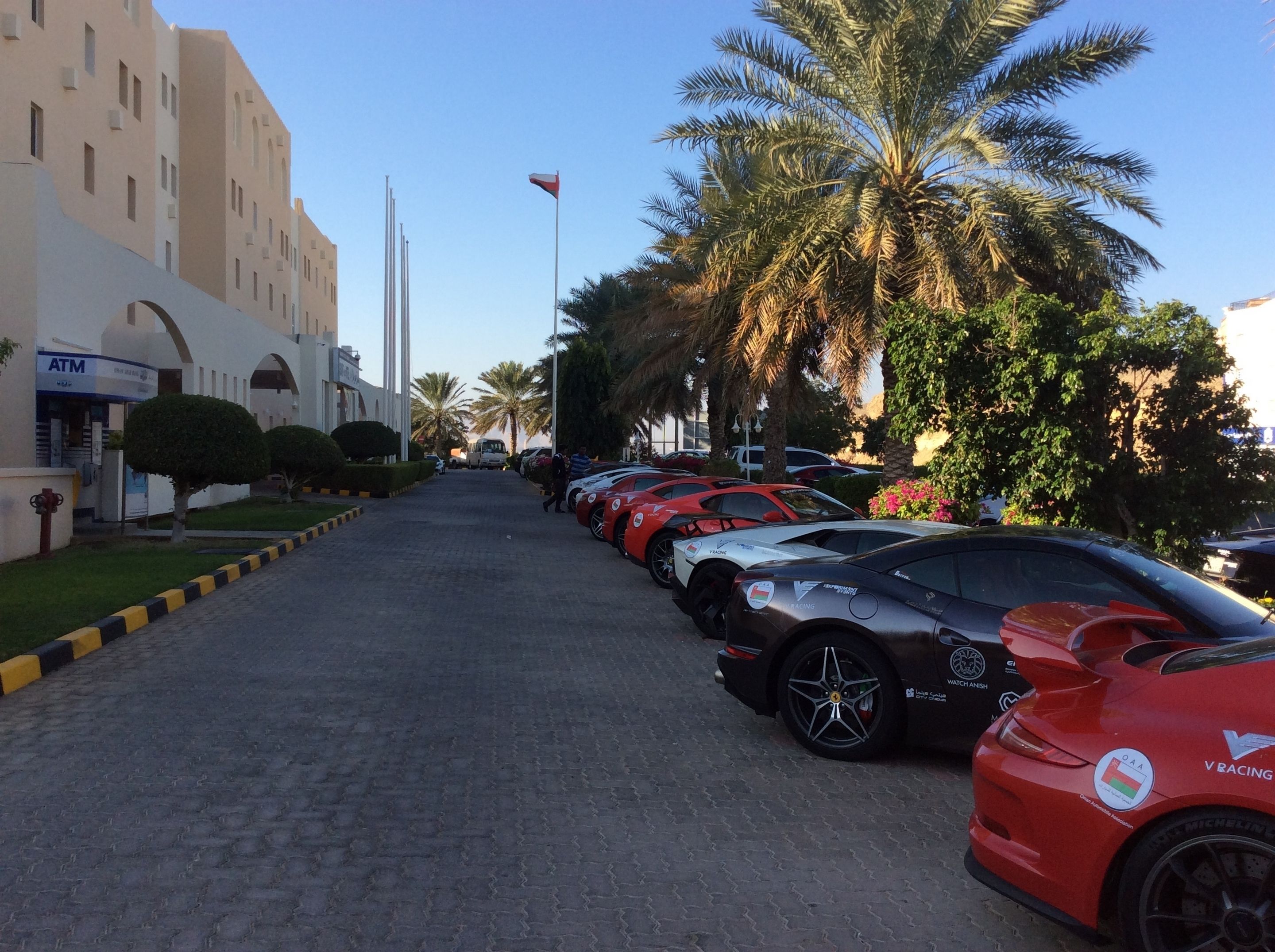 A paved road lined with palm trees and parked sports cars.