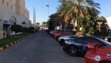 A paved road lined with palm trees and parked sports cars.