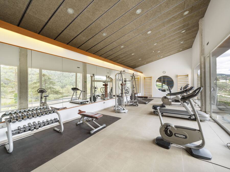 Une salle de sport moderne équipée de divers appareils d’exercice, dotée de grandes fenêtres et offrant une vue sur l’extérieur.