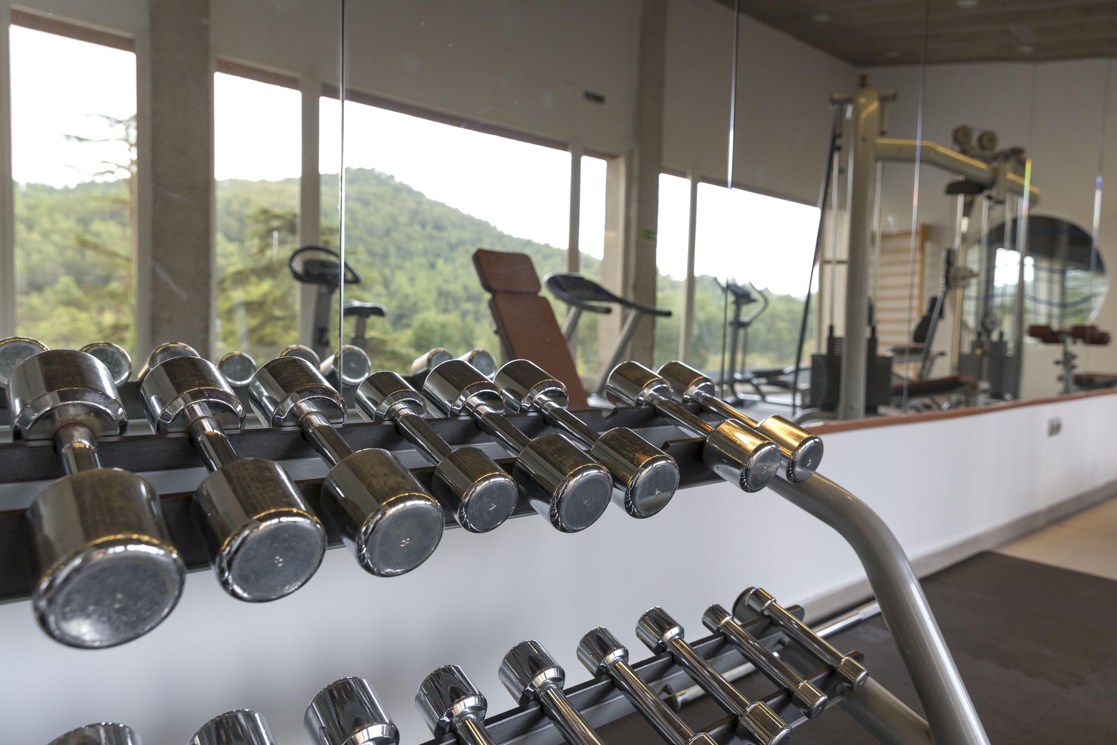 Un gimnasio con equipo de ejercicio y amplias ventanas con vistas a un área boscosa.