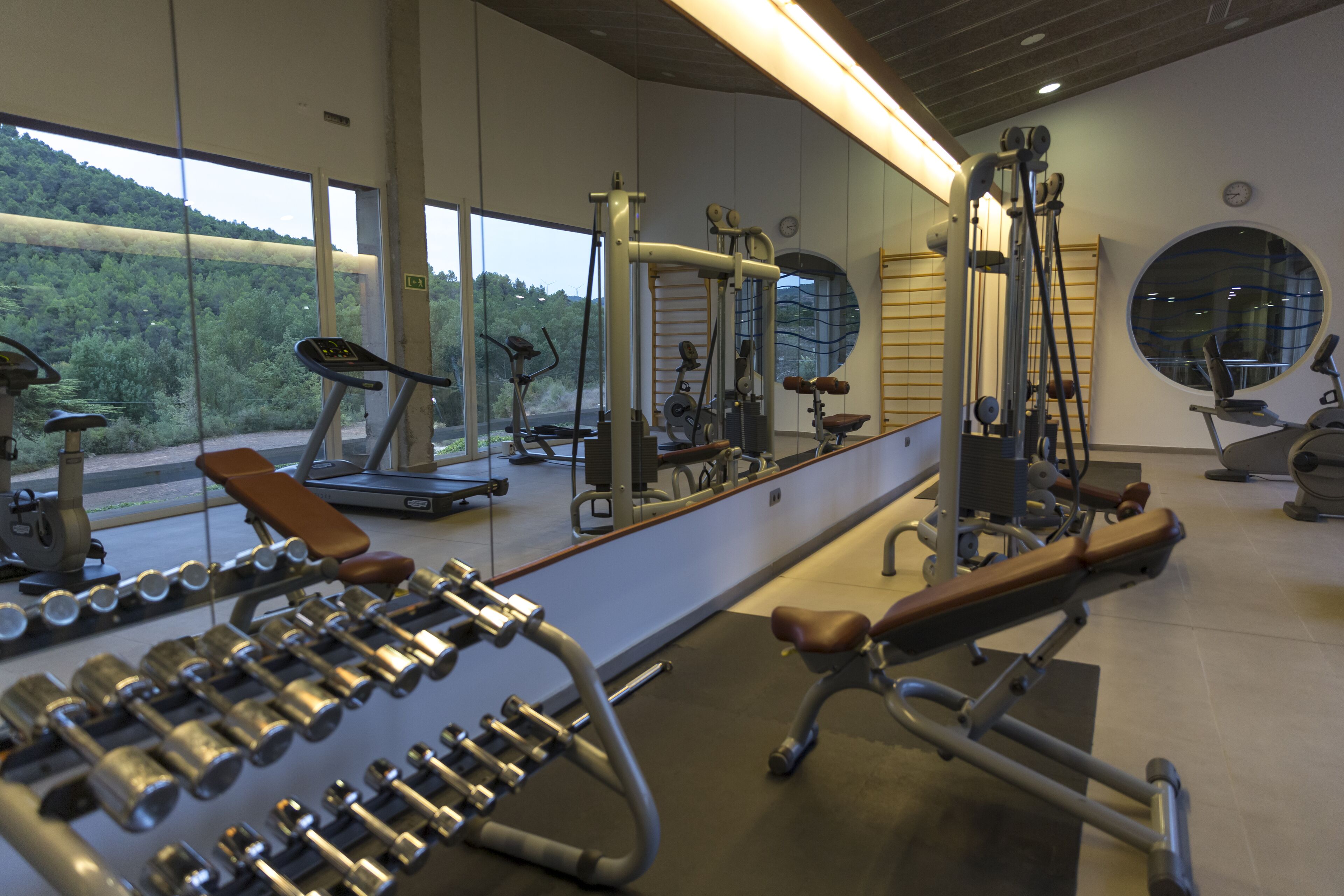 A gym with various exercise equipment, large windows, and a view of a forested area.