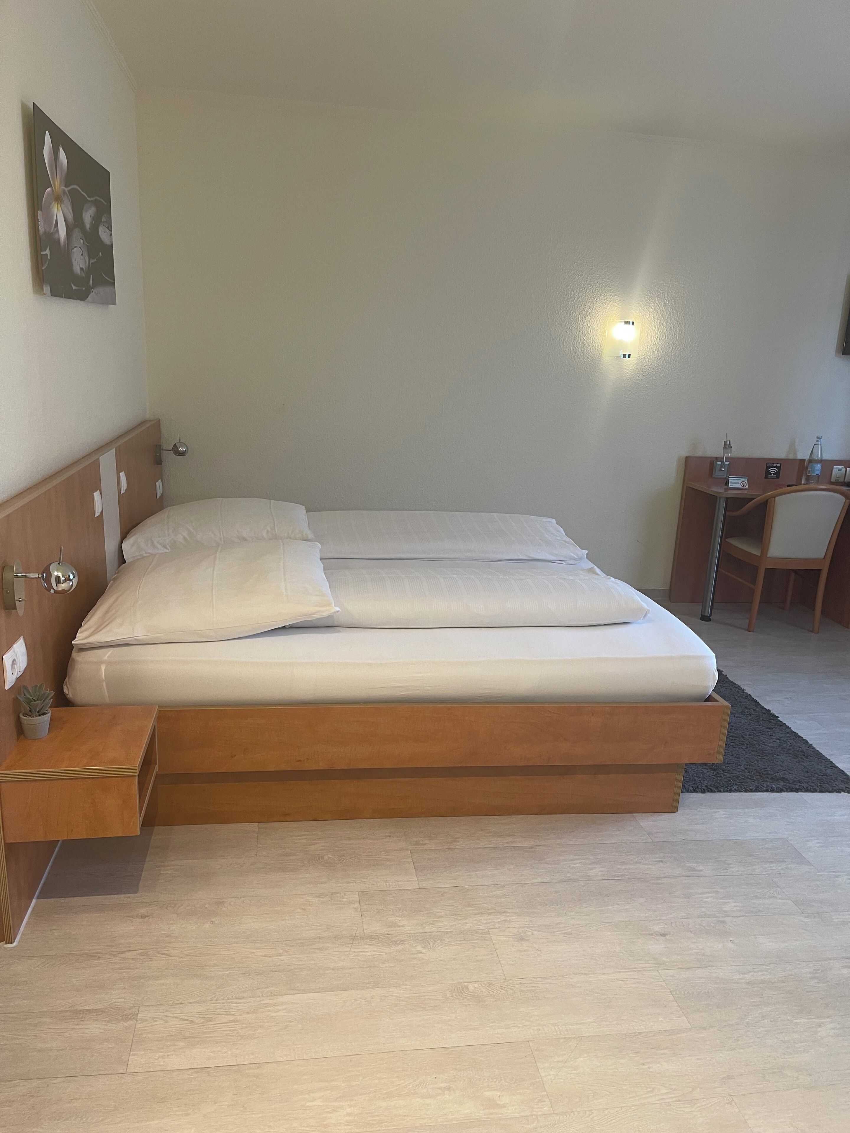 A single bed with a wooden headboard, a bedside table with a plant, and a desk with a chair.