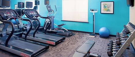 A gym with treadmills, a bench, dumbbells, a stationary bike, and a blue exercise ball.