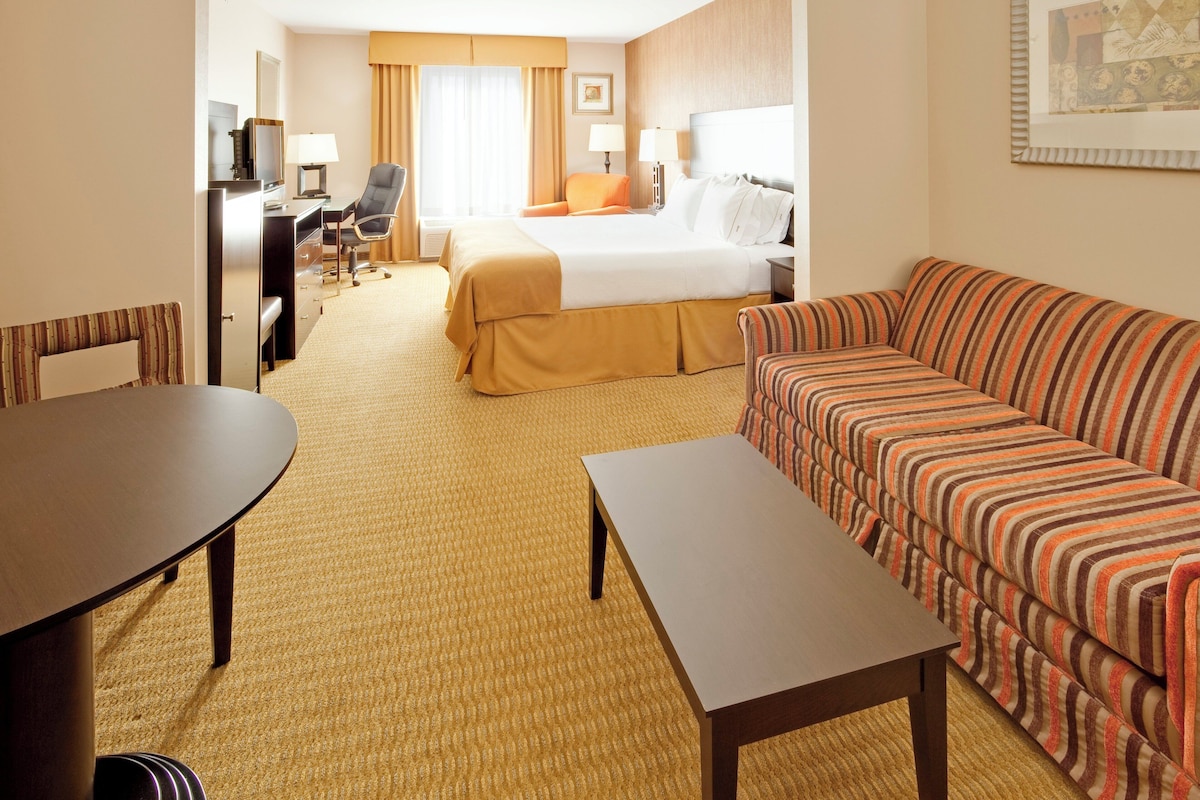Suite, 1 King Bed | Desk, blackout drapes, iron/ironing board, cribs (free)