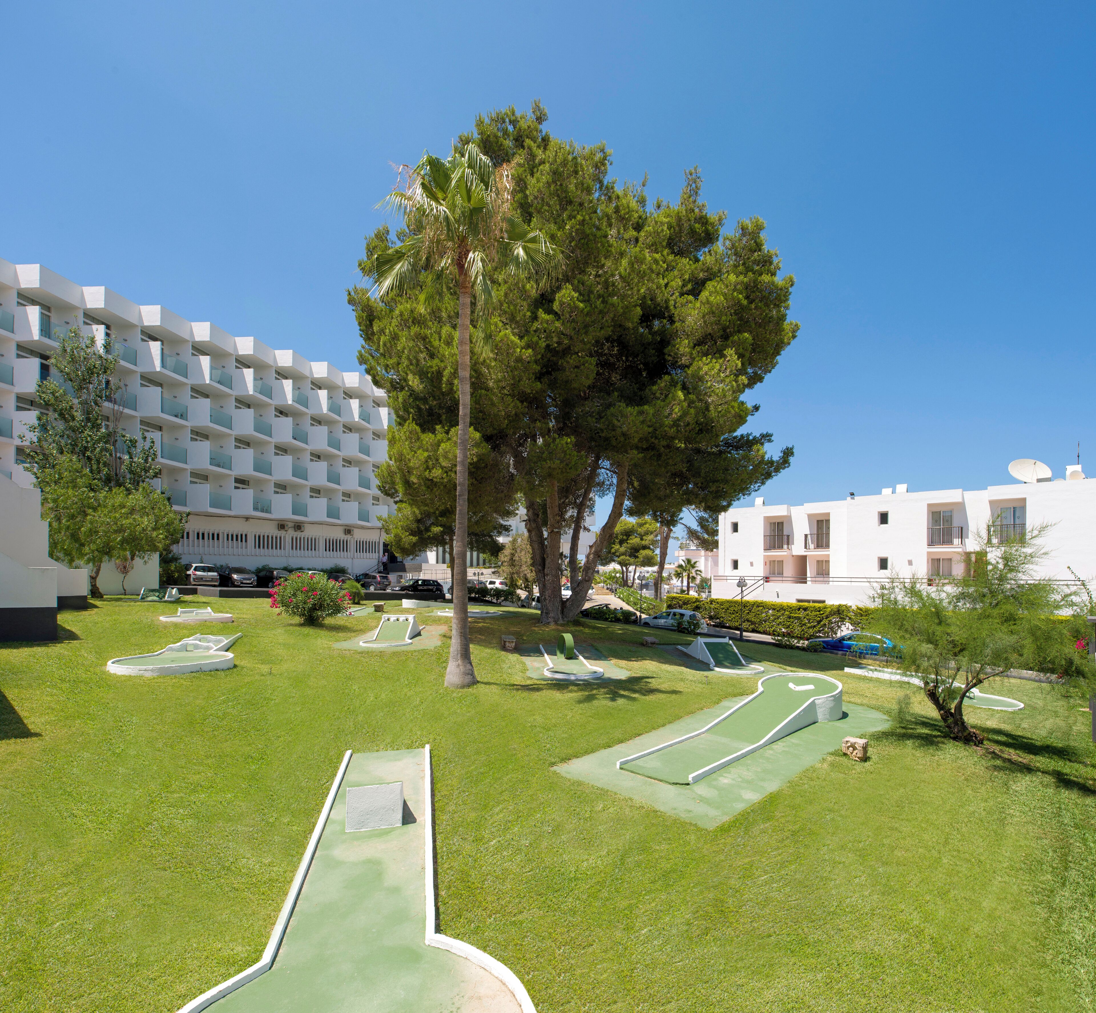 Un campo de golf con búnkeres y una palmera.