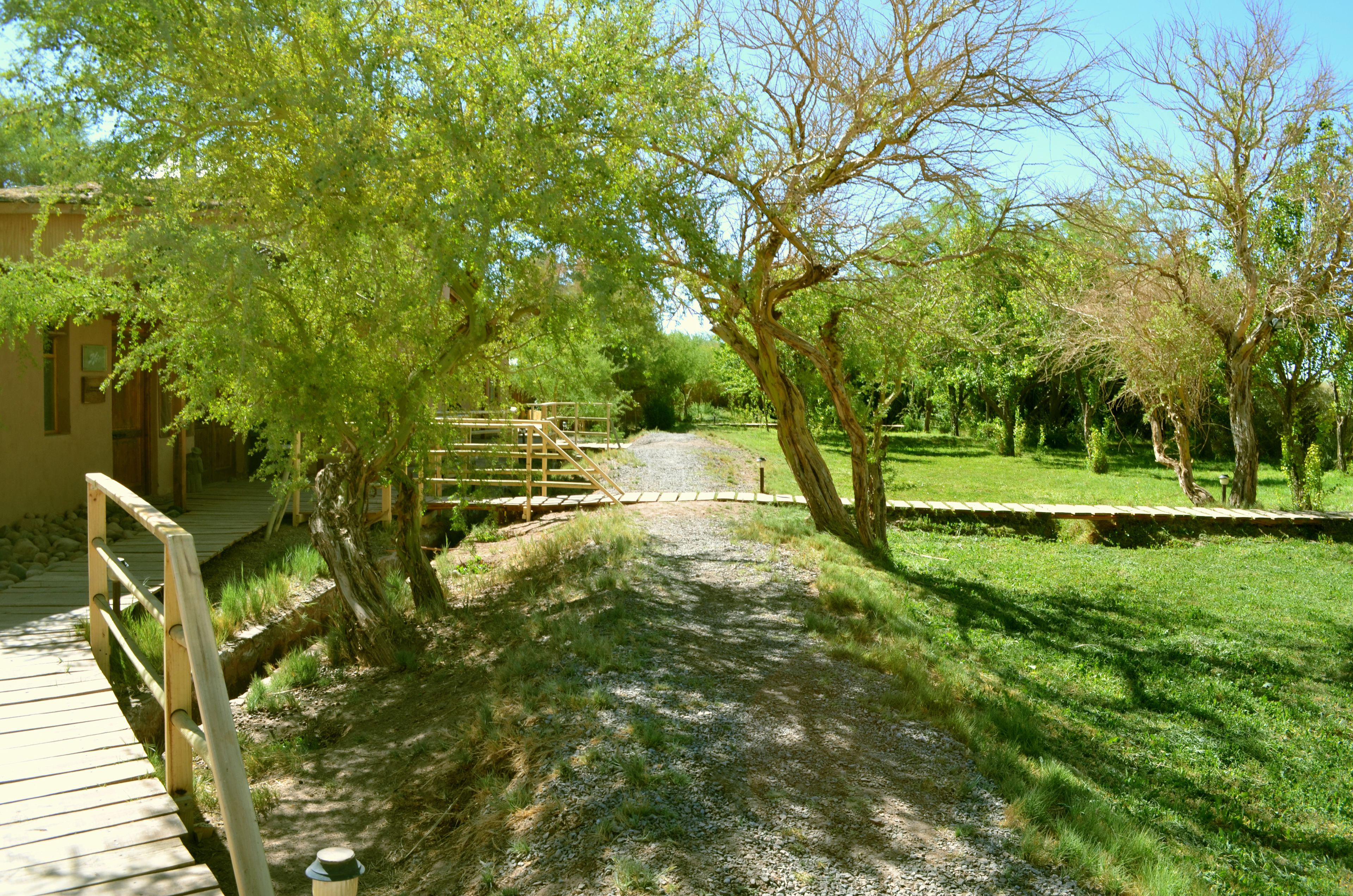 A pathway leading through a park with trees and a wooden fence.