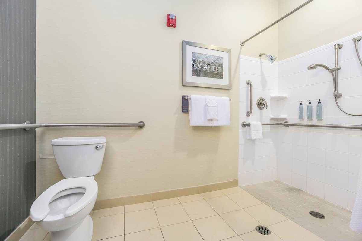 A bathroom with a toilet, a shower with grab bars, a hand dryer, and a framed picture on the wall.