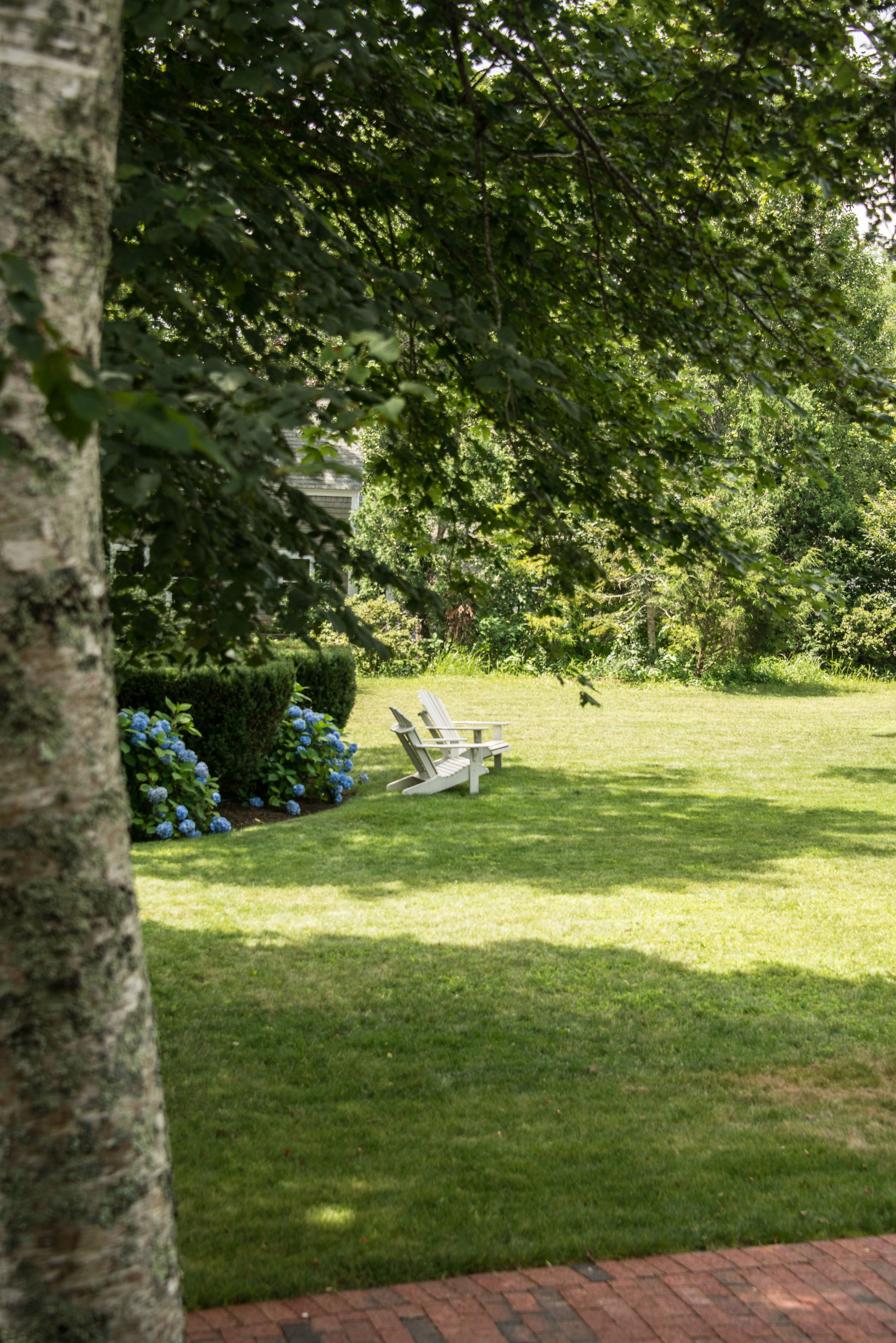 A grassy lawn with a white Adirondack chair and a hedge of blue flowers.