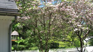 A white picket fence, a tree with pink blossoms, and a house with a dark roof. - Beautiful Valley Guesthouse (Scottsville)