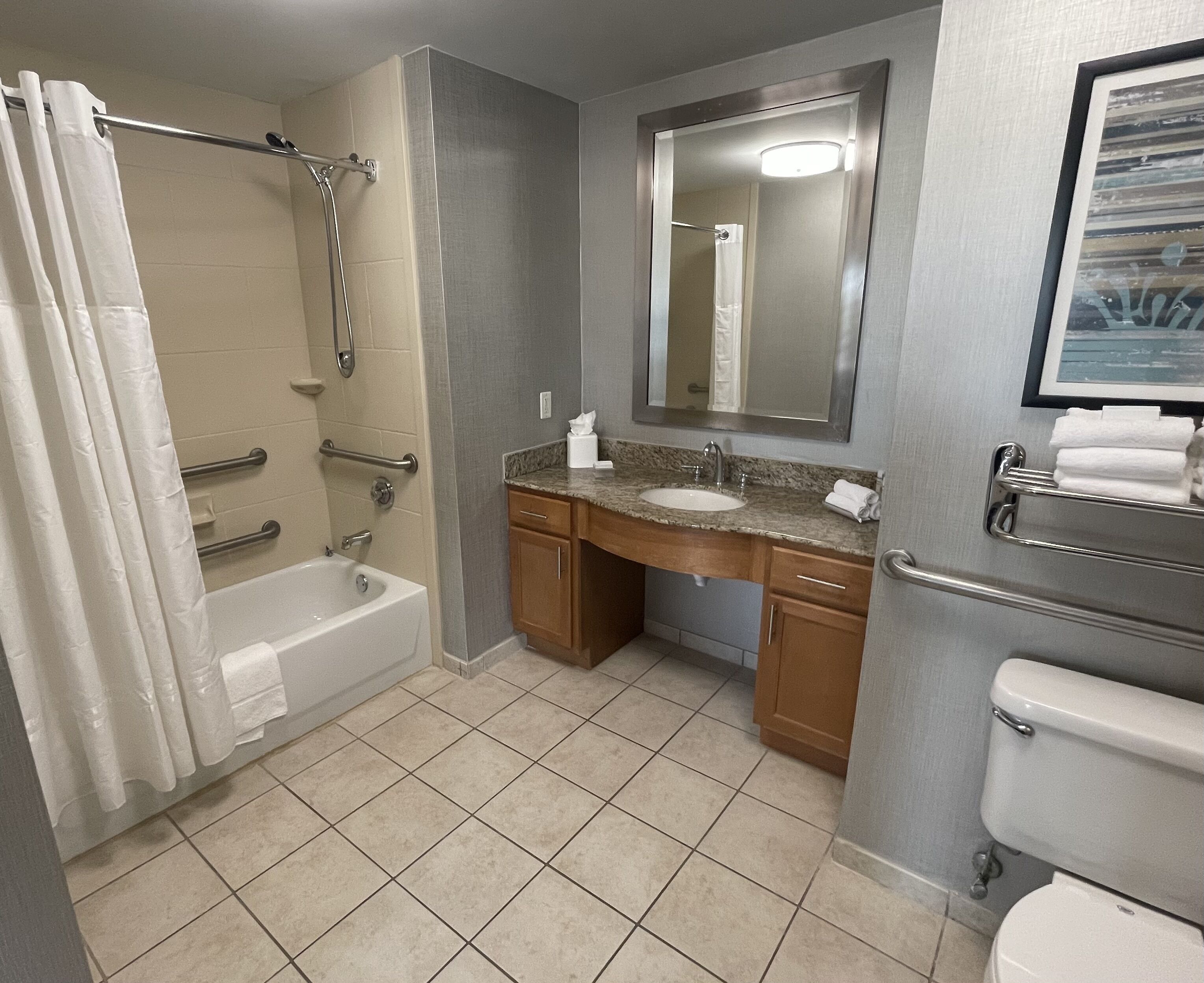 combined shower/bathtub, free toiletries, hair dryer, towels