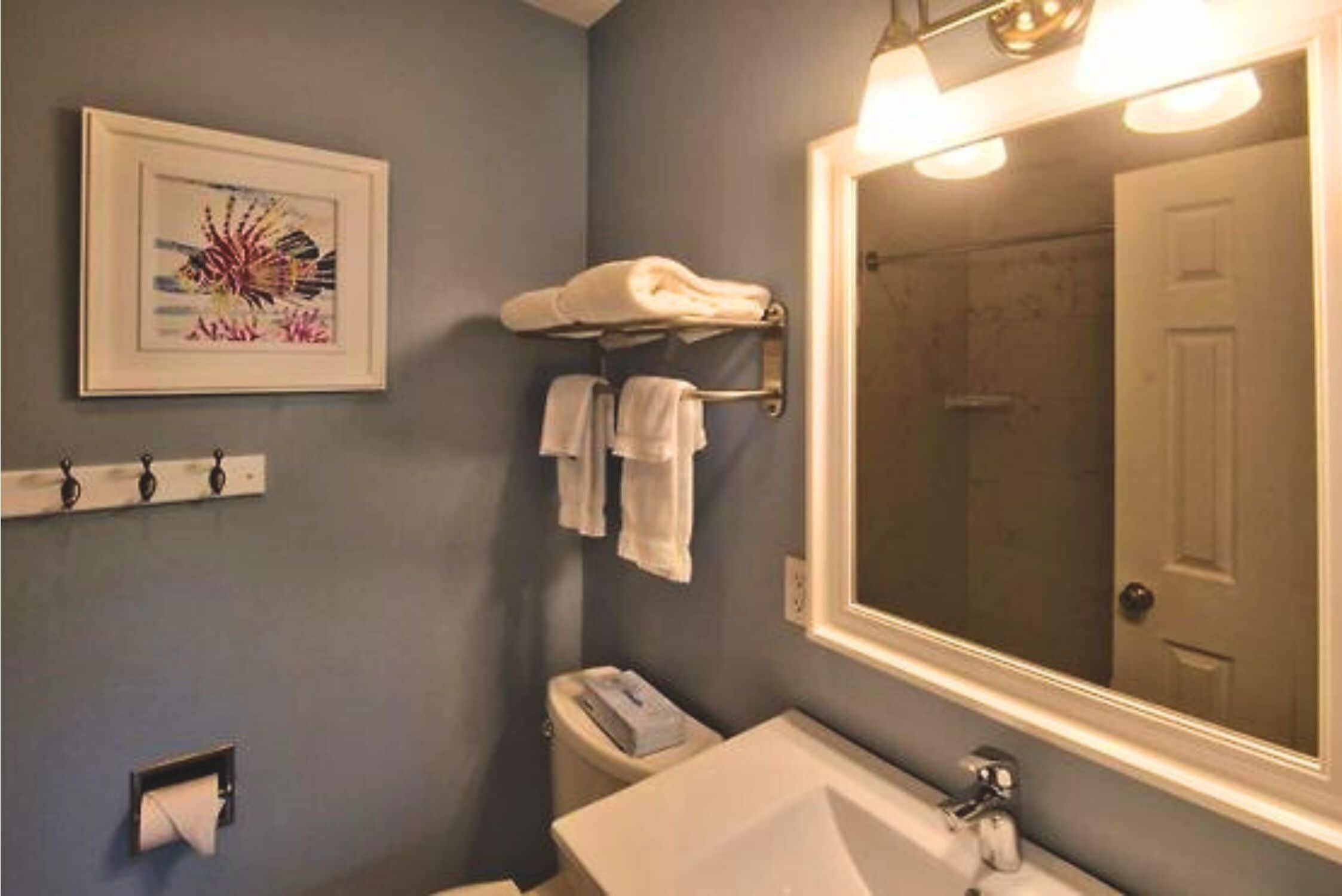 Un baño con un espejo grande, un lavamanos, un inodoro y un perchero con toallas.