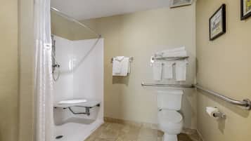 Ein Badezimmer mit Dusche, Toilette und Haltegriffen.