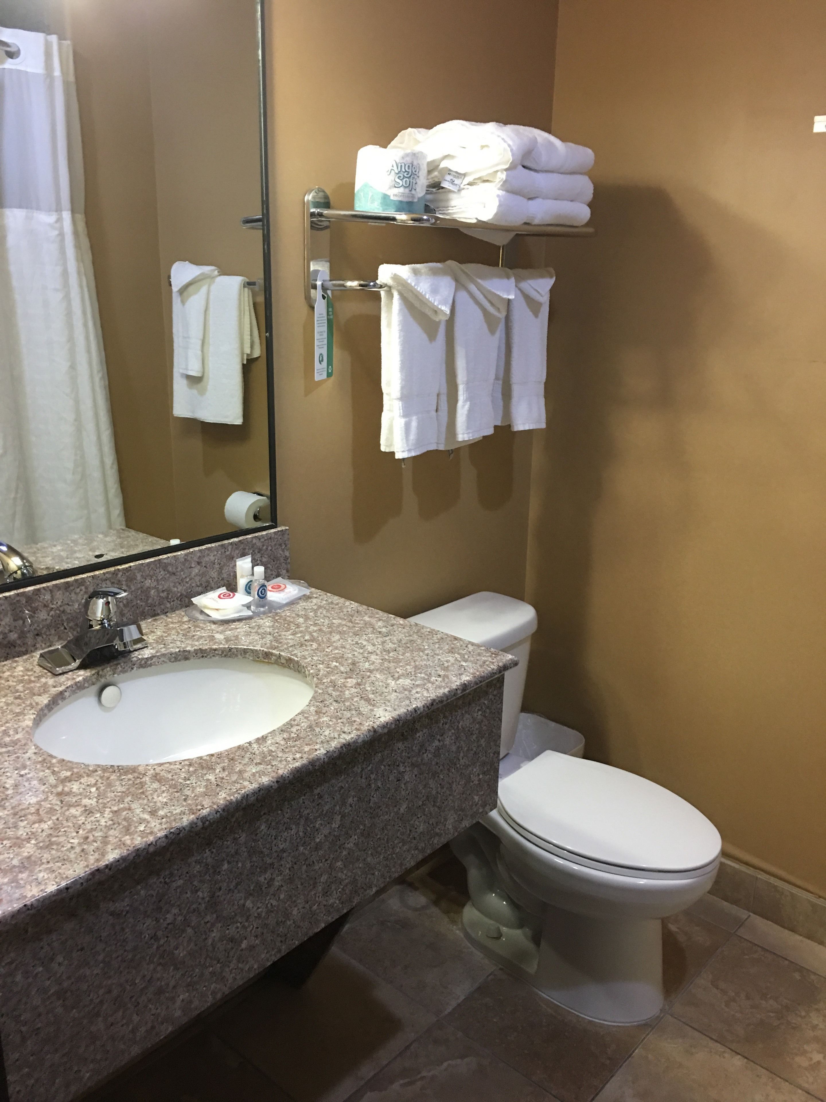 combined shower/bathtub, free toiletries, hair dryer, towels
