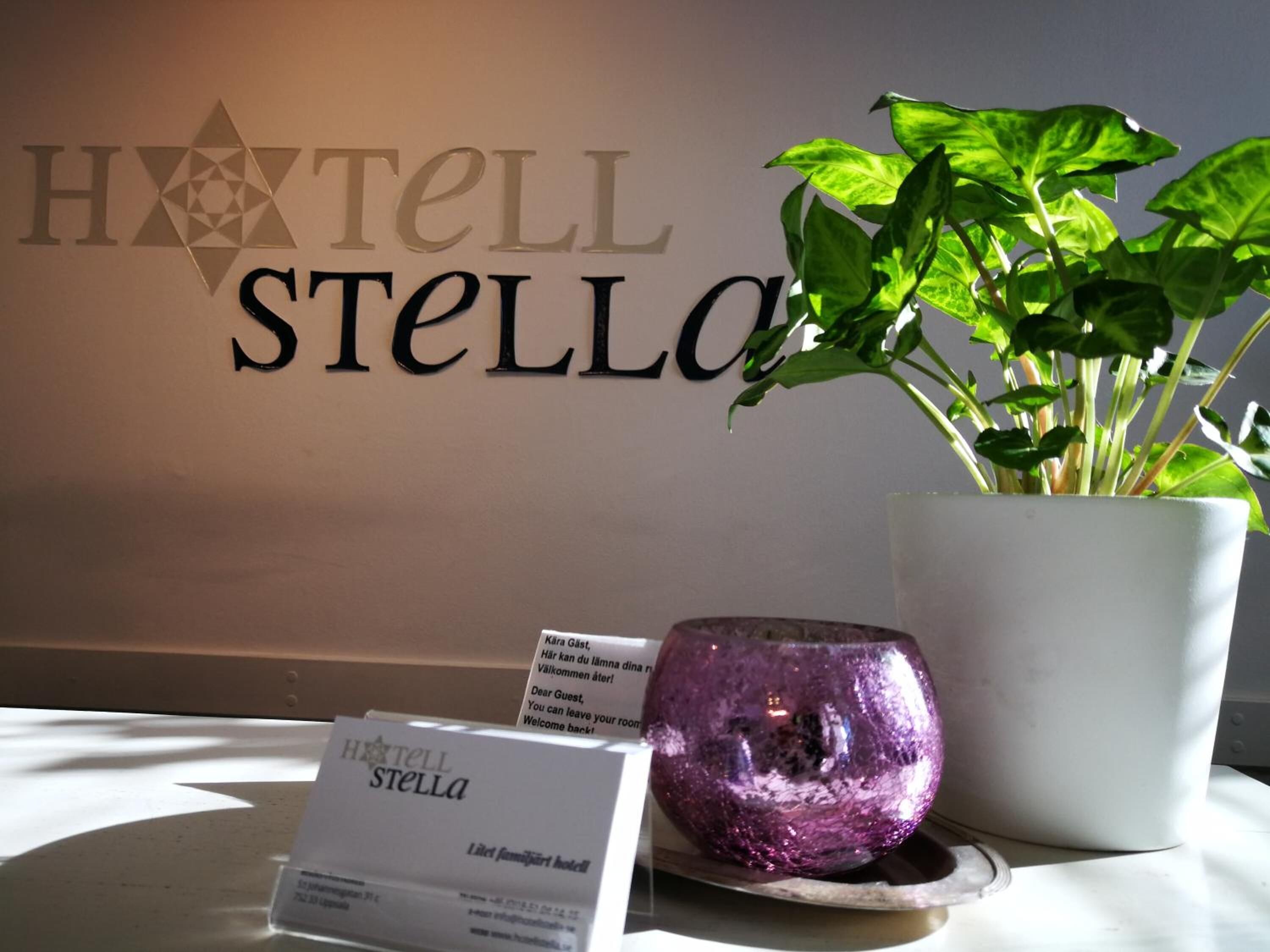 Une enseigne d’hôtel avec l’inscription « HÔTEL STELLA » et une plante en pot.