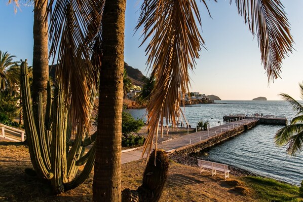 A coastal area with palm trees, a wooden pier, and a calm sea. - Hotel Playa de Cortes (Guaymas)