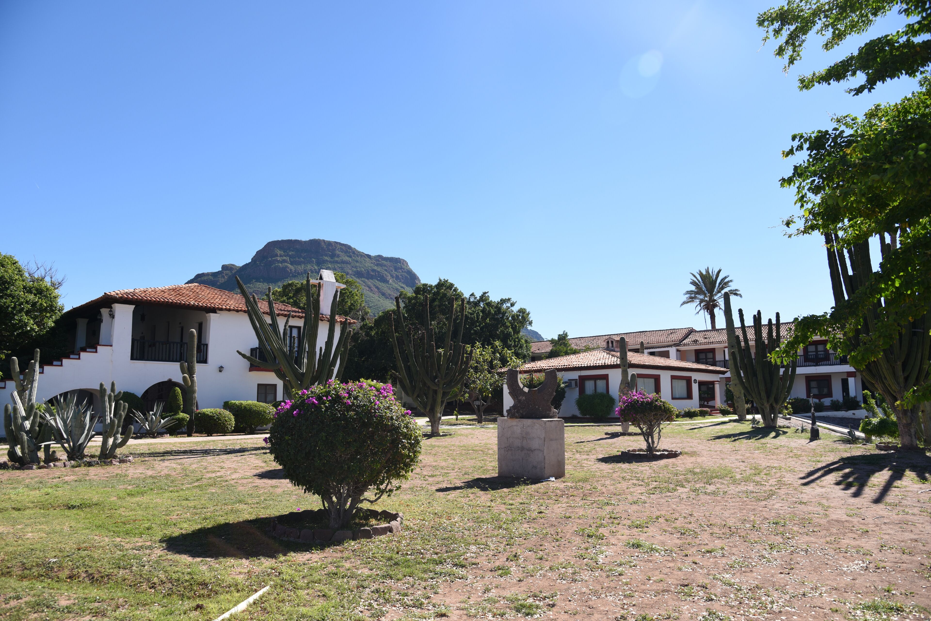 A courtyard with cacti, a mountain in the background, and a building with a tiled roof.